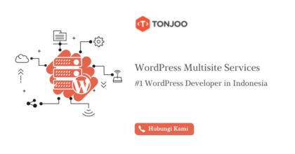 WordPress Multisite Development Services