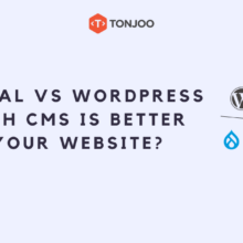 Drupal vs WordPress : Which CMS is Better For Your Website?