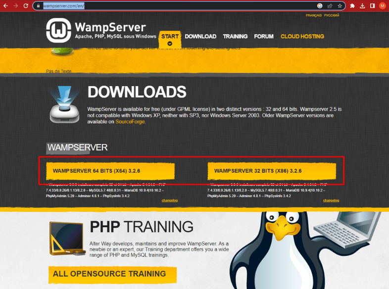Cara Menginstal WordPress di Windows menggunakan WampServer - download wampserver