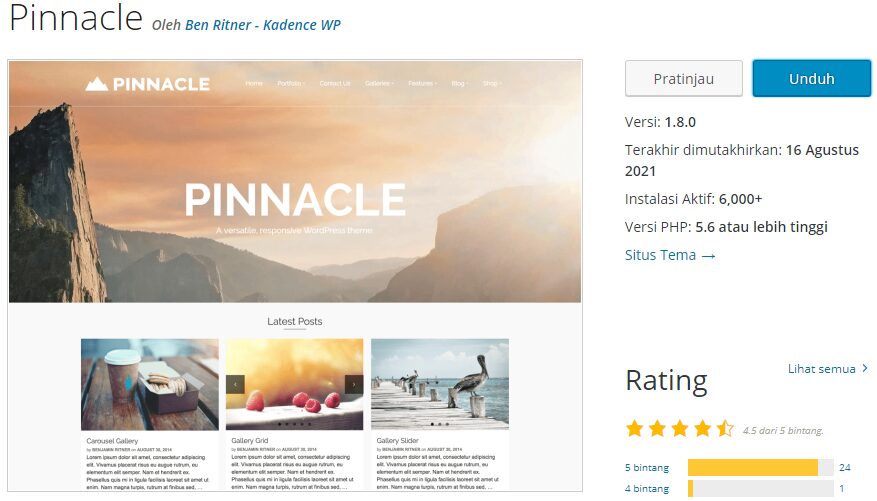 Best Free WordPress Themes - Pinnacle