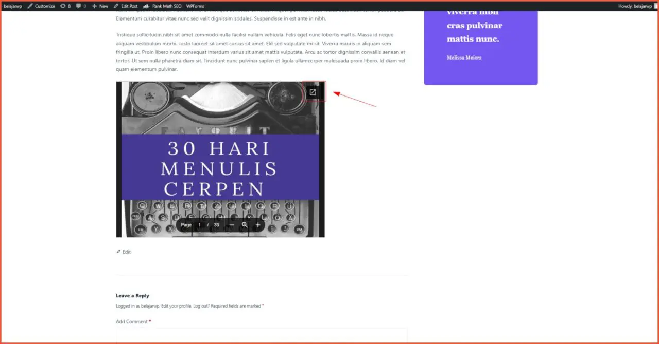 How to Embed PDF in WordPress (2 Methods) 25 how to embed pdf in wordpress 1