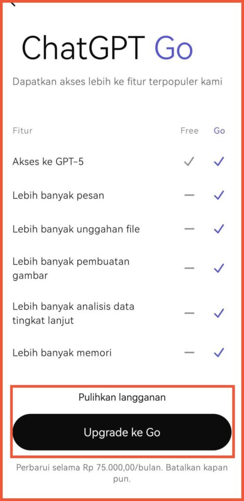 OpenAI rilis ChatGPT Go di Indonesia