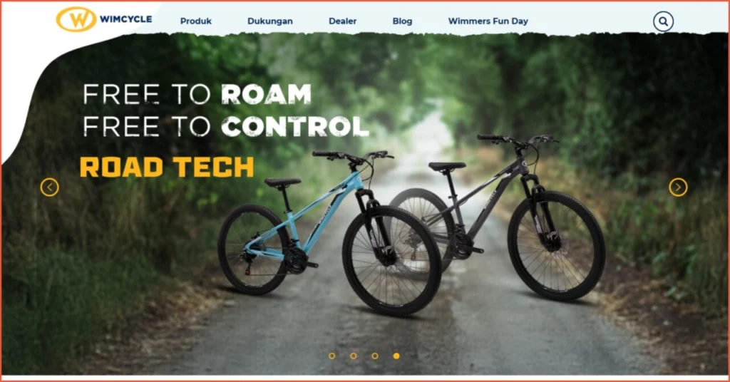 9 Ecommerce Website Examples for Your Business 4 Ecommerce Website Examples