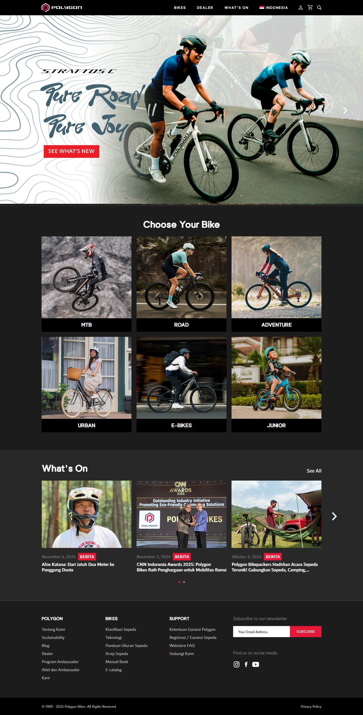 mockup website polygon
