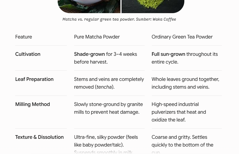 Detailed Prompt Examples for More Accurate and Relevant AI Responses 11 Matcha vs. regular green tea powder