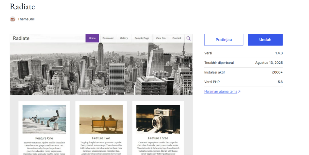 33 Best Free WordPress Themes in 2026 for Business 14 Best Free WordPress Themes - Radiate